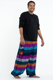 Plus Size Boho Striped Men's Harem Pants in Blue